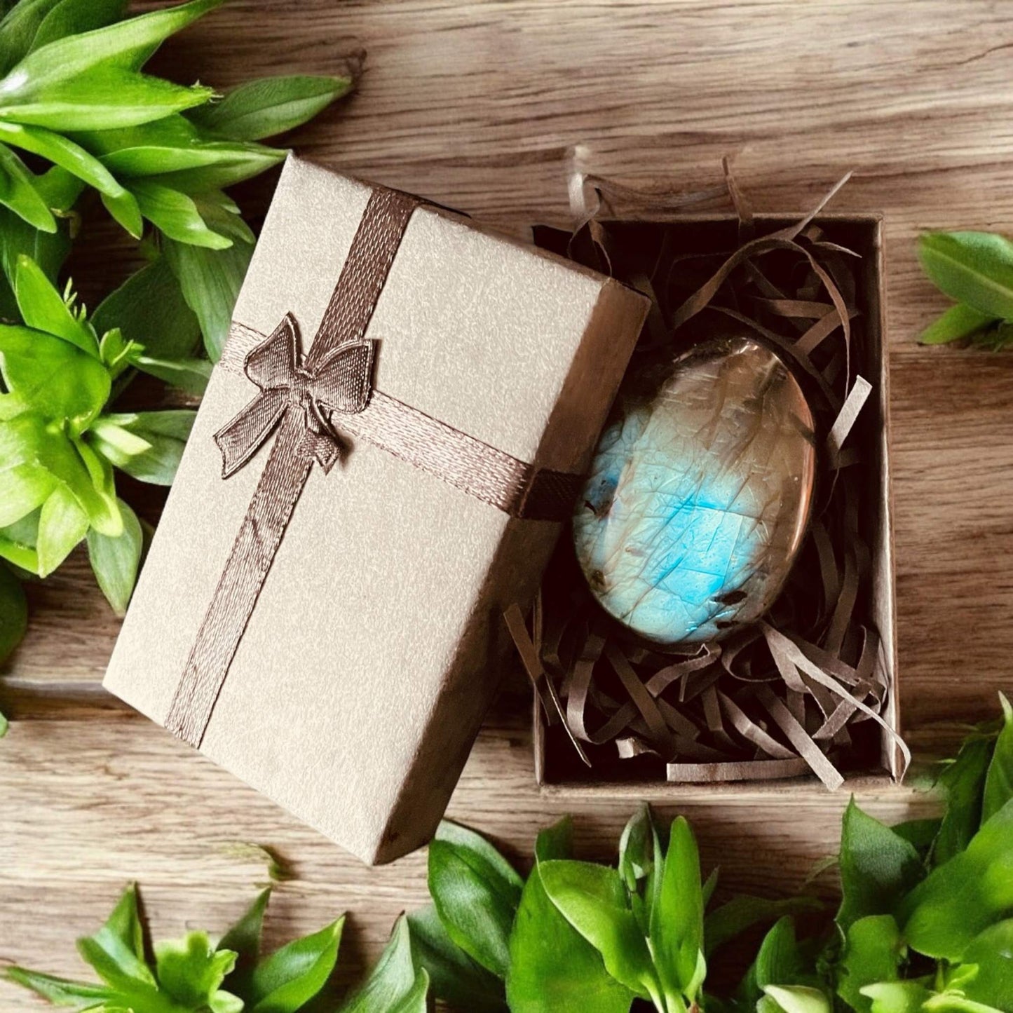 Labradorite Palm Stone in gift box with iridescent color flashes surrounded by green leaves.