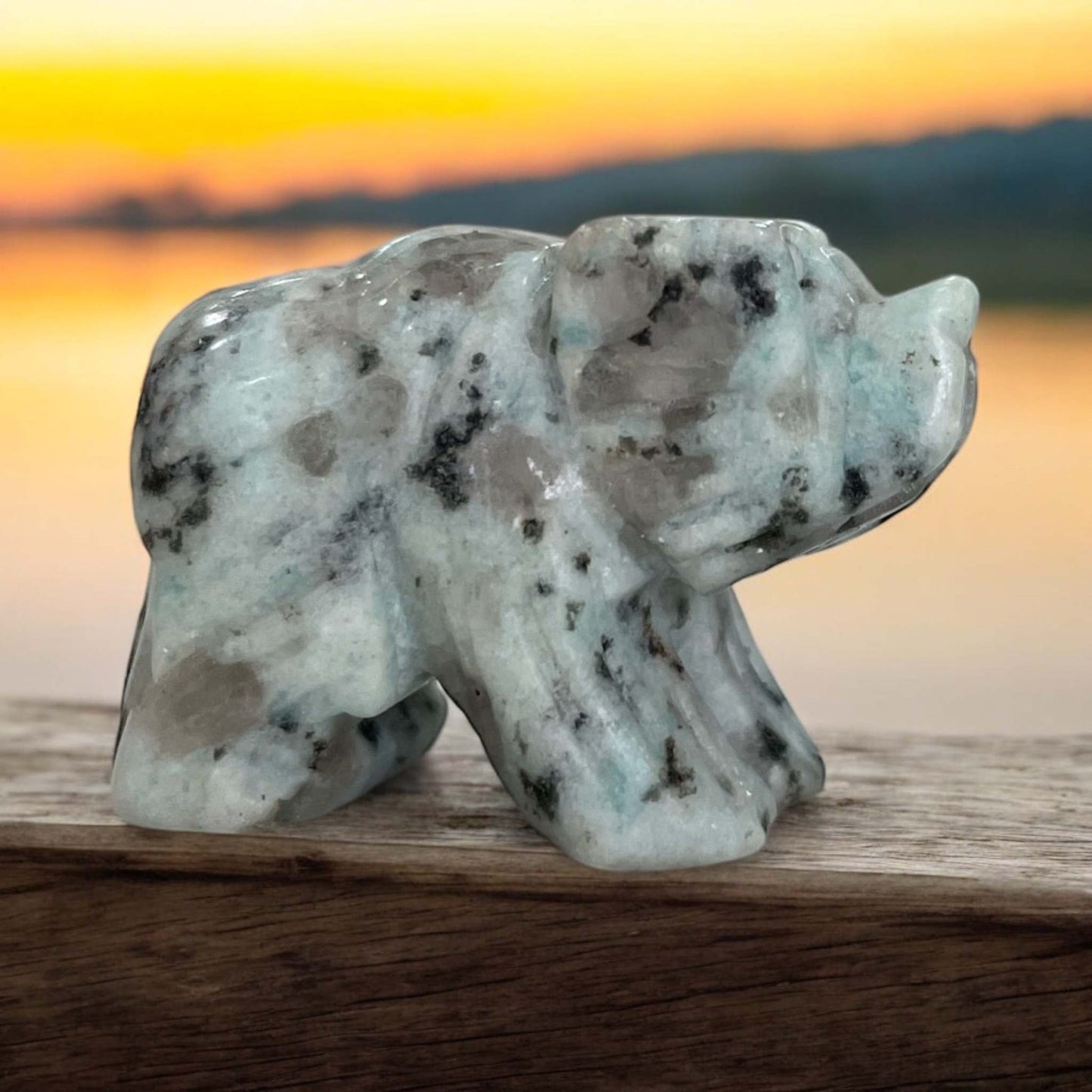 Kiwi Stone Bear