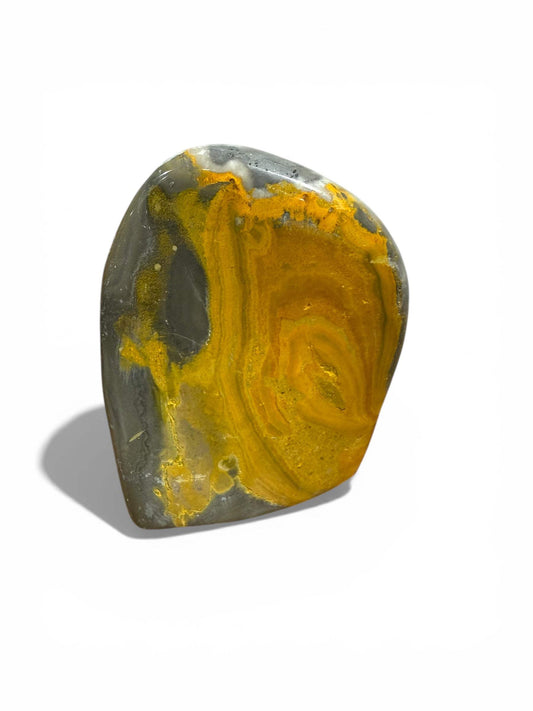 Bumblebee Jasper Freeform